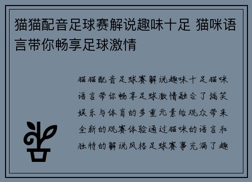 猫猫配音足球赛解说趣味十足 猫咪语言带你畅享足球激情