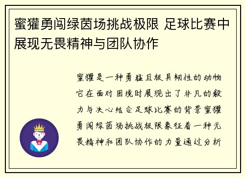 蜜獾勇闯绿茵场挑战极限 足球比赛中展现无畏精神与团队协作
