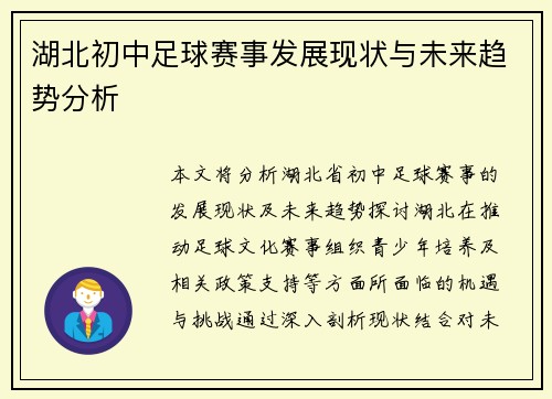 湖北初中足球赛事发展现状与未来趋势分析