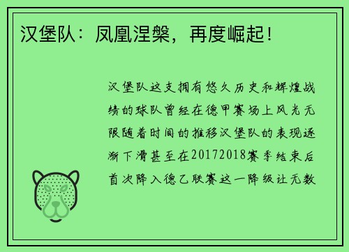 汉堡队：凤凰涅槃，再度崛起！