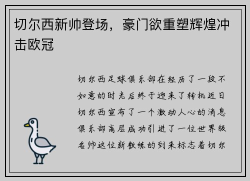 切尔西新帅登场，豪门欲重塑辉煌冲击欧冠