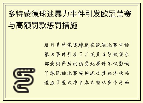 多特蒙德球迷暴力事件引发欧冠禁赛与高额罚款惩罚措施