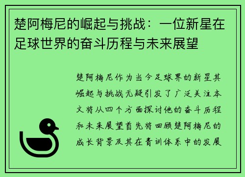 楚阿梅尼的崛起与挑战：一位新星在足球世界的奋斗历程与未来展望