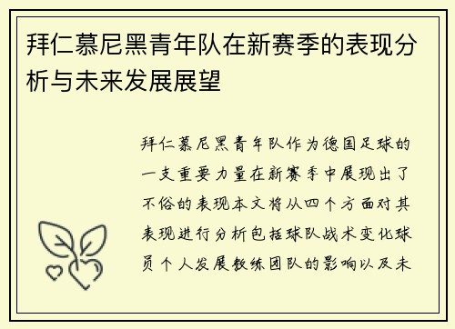 拜仁慕尼黑青年队在新赛季的表现分析与未来发展展望