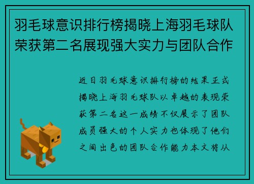 羽毛球意识排行榜揭晓上海羽毛球队荣获第二名展现强大实力与团队合作